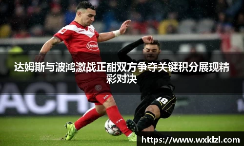 达姆斯与波鸿激战正酣双方争夺关键积分展现精彩对决